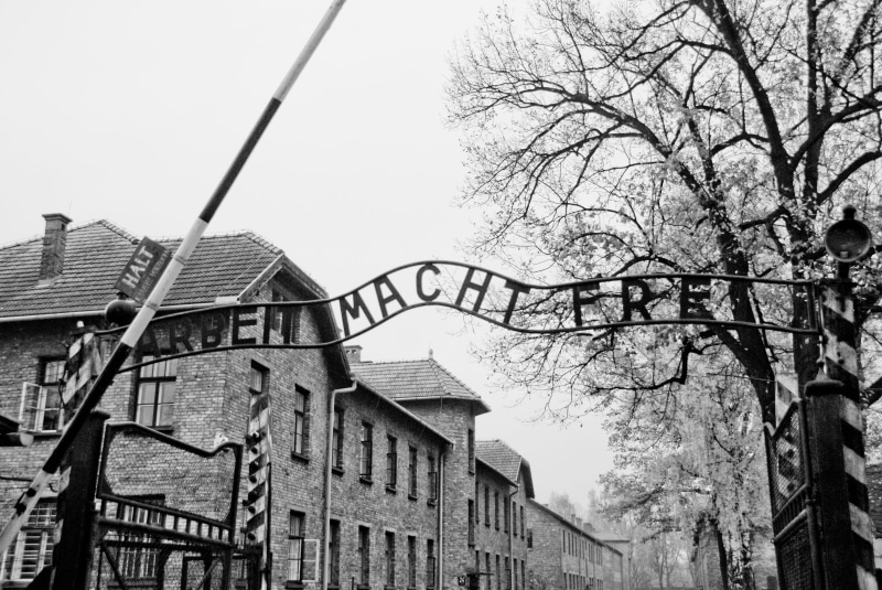 building, outdoors, prison, auschwitz, branch, tree, 4K, the past, built structure, no people, jewish, plant, jail, extermination, death, oswiecim, sky
