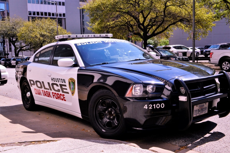 bumper, law enforcement, judge, tree, driving while intoxicated, luxury, car, patrol, drivers license, trained, watch, emergency, order, sheriff, transport