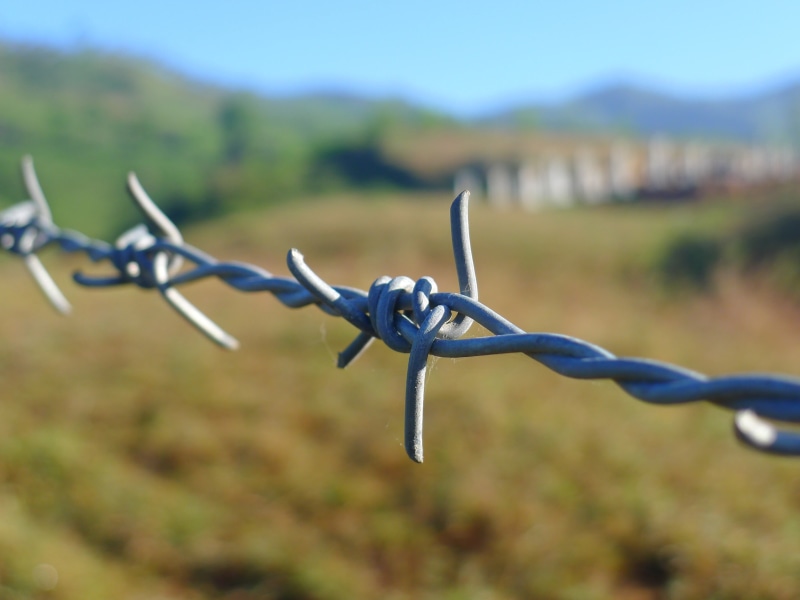 private, design, dom, barb, sharp, jail, agriculture, landscape, metal, close-up, system, danger, prison, land, zone, protection, razor, escape, spiked