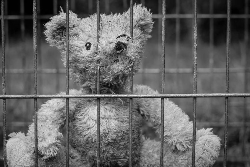 zoo, no people, arrest, animal, gray, outdoors, parents, animal wildlife, pets, childhood, family, lonely, trapped, fence, cage, animal themes, prison