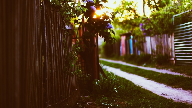 green Color, light - Natural Phenomenon, fence, architecture, scenics, outdoors, sunlight, brown, leaf, summer, tree, building exterior, landscape, built structure