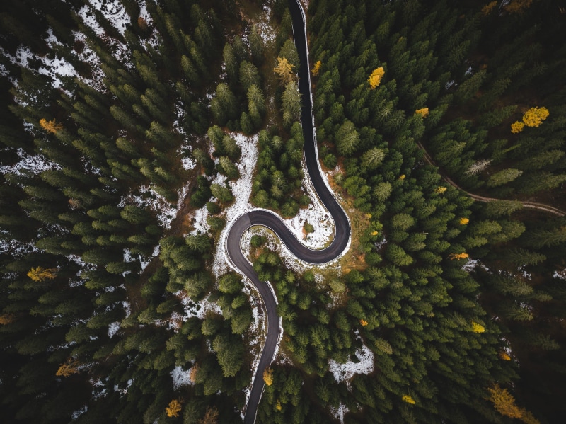 fir trees, nature, transportation, surrounded, season, green color, curve, plant, mockup, top view, winding road, pine trees, view, non-urban scene, scenics - nature