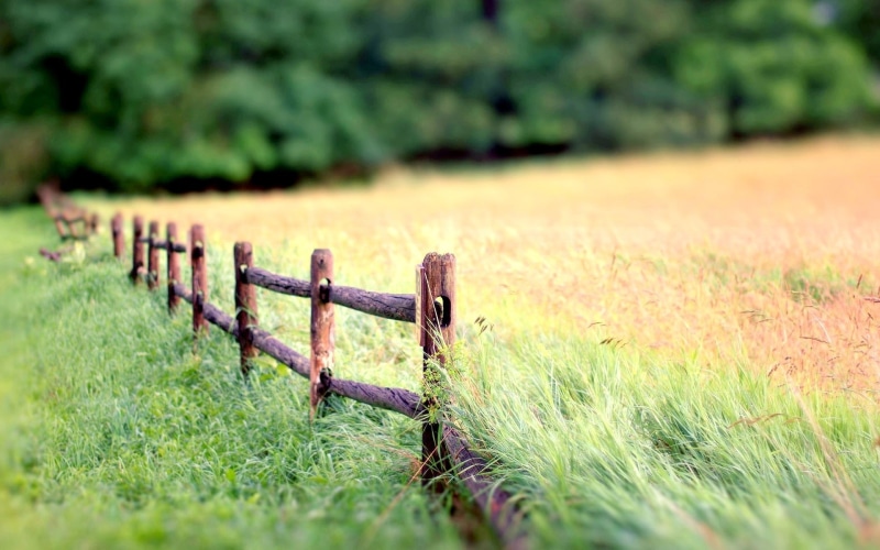 Landscape, Nature, Grass, brown, 1080P, wooden, Fence, Background, Blur