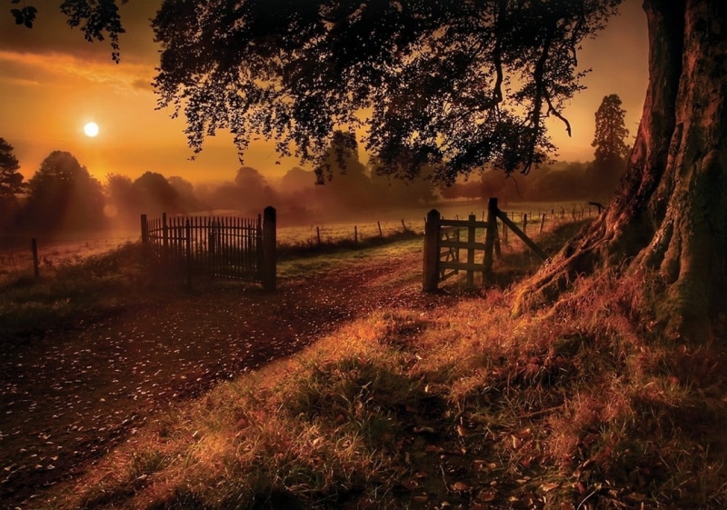 beauty in nature, wood - material, sunset, grass, no people, idyllic, non-urban scene, landscape, fence, outdoors, water, plant, 720P, nature, scenics - nature