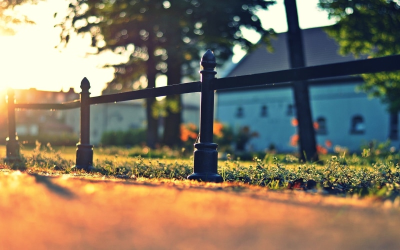 beauty in nature, metal, boundary, barrier, plant, outdoors, bokeh, day, grass, lighting equipment, black, selective focus, no people, tree, growth, sky
