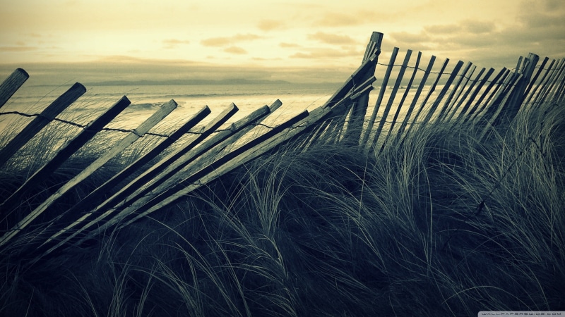 field, tranquil scene, tranquility, sky, wooden, nature, boundary, beauty in nature, wooden post, scenics - nature, sunset, plant, safety, no people, wood - material