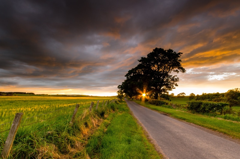 roadway, field, Nikon-D7000, road, sky, green field, Scotland, dusk, agriculture, summer, farm, 20mm, Sigma, 4K, non-Urban Scene, sunrise - Dawn, sunlight