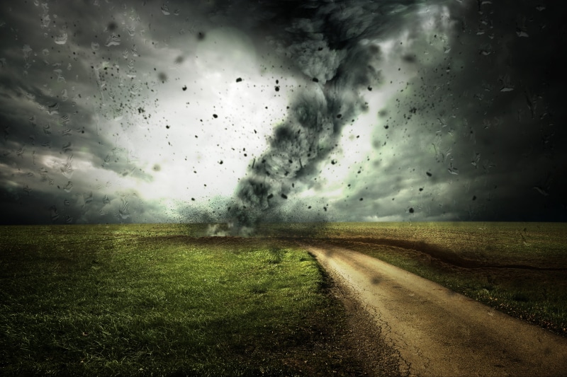 rain, grass, cloudiness, broken, dramatic sky, field, destruction, outdoors, road, plant, typhoon, disaster, power in nature, sky, climate protection, natural disaster