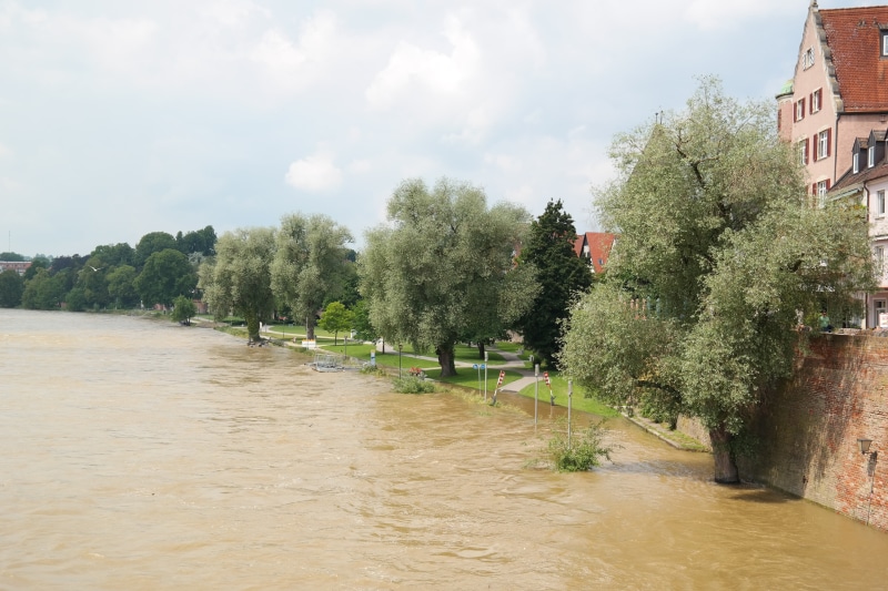 tree, flood of the century, cloud - sky, building exterior, nature, location, locked, flood damage, road, sky, river, water level, flood, plant, no people