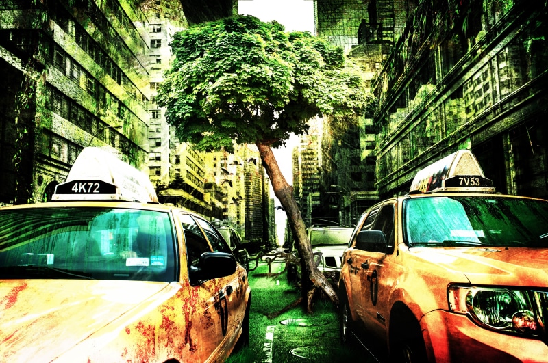 buildings, shadow play, no people, deciduous tree, transport, street, land vehicle, road, nature, force of nature, uSA, grass, built structure, distorted