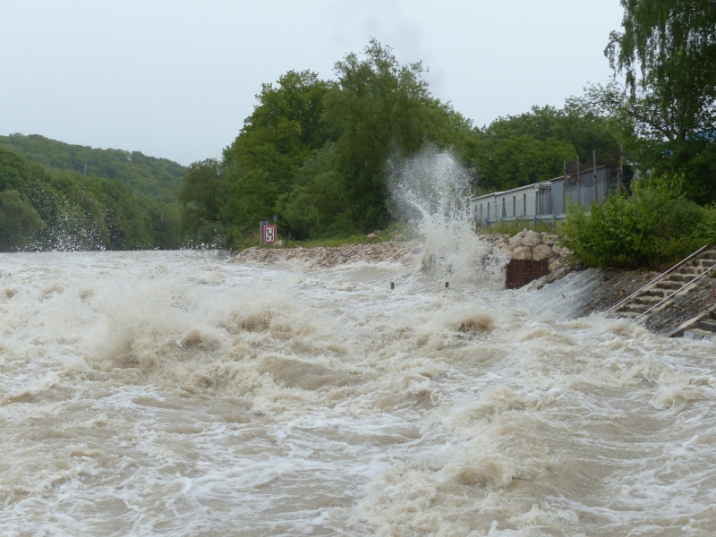 rain, waterfront, bank, flooding, scenics - nature, cloudiness, flowing water, flood disaster, motion, eddy, beside, tree, inject, rainy weather, force of nature