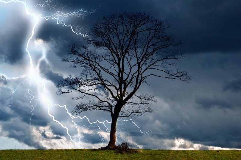 environment, scenics - nature, photo, dramatic sky, sky, tree, power in nature, wet, power, landscape, nature, background, storm, beauty in nature, digital