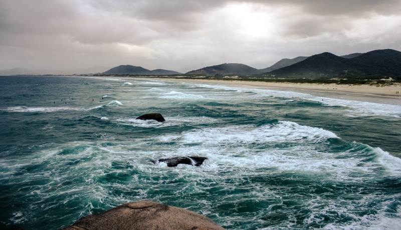 floripa, tourism, mountain, rock - object, cloudy, animal themes, ocean, relax, beach, sand, animal, purity, outdoors, marine, aquatic mammal, sea, nature