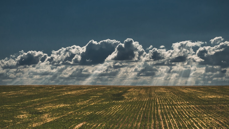 landscape, day, scenics, summer, farm, agriculture, nature, meadow, outdoors, countryside, backgrounds, terrain, field, worldwide, cloudscape, rural Scene
