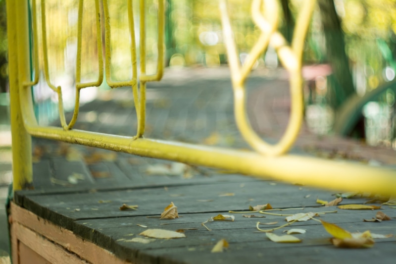 no People, backgrounds, raindrop, plant part, wood - Material, freshness, leaf, fence, water, architecture, green Color, leaves, wet, selective focus, summer