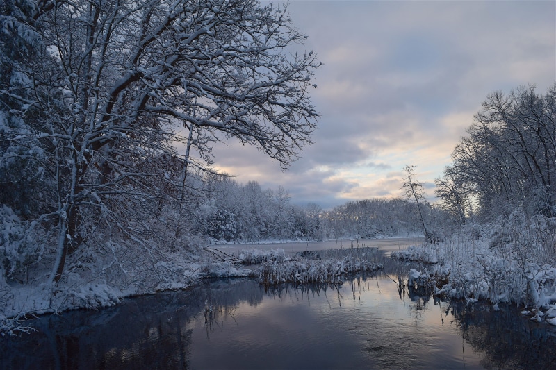 season, snow, frost, clouds, scenic, natural, bare, sky, cloud - sky, forest, riverbank, landscape, reflection, winter, scenics - nature, tree, lake, snowy