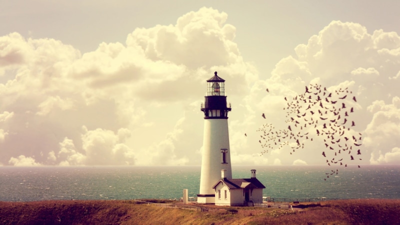 photo manipulation, safety, tower, cloud - sky, guidance, direction, no people, lighthouse, black, nature, horizon over water, water, bird, sky, white
