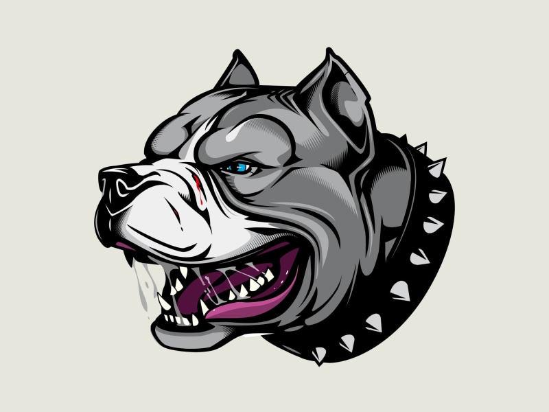 the dog, angry dog, 1080P, art, avatar, dog collar with spikes, Pitbull, Pit bull
