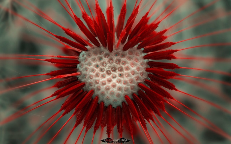 spiky, white, pollen, flower, growth, microbiology, micro Organism, flowering plant, close-up, bacterium, cancer Cell, science, dandelion seed, cell, 1080P
