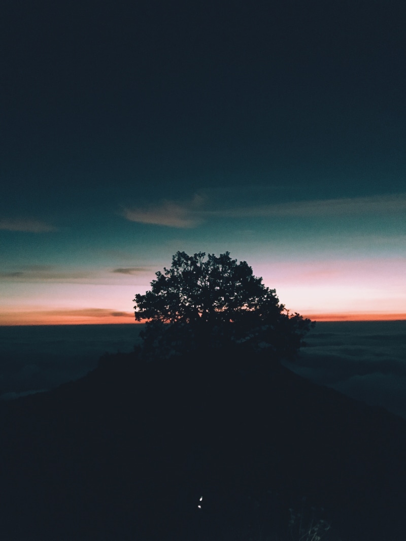 sky, dawn, mountains, dark, non-urban scene, tranquil scene, no people, environment, pinal de amoles, nature, growth, landscape, mexico, cloud - sky, plant