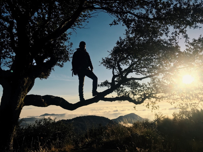 scenics - nature, silhouette, tranquil scene, backlight, outdoors, leisure activity, 4K, shadows, méxico, tree, sunset, growth, sun, lifestyles, full length