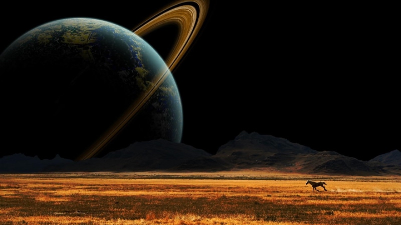 earthlike, field, sky, domestic animals, planet, fantasy world, mountain range, environment, motion, copy space, space art, fantasy, animal wildlife, night