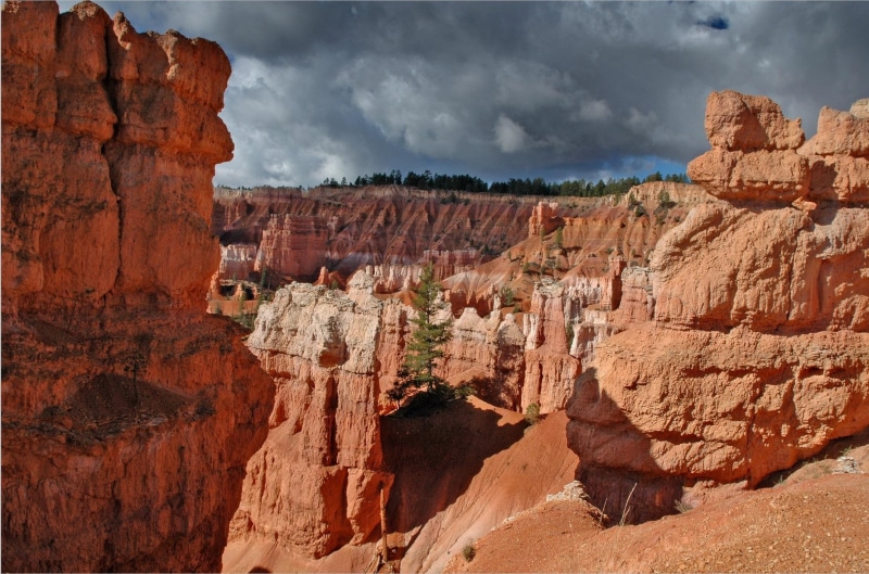 1080P, bryce, park, landscape, united, photo, canyon, america, states, deserts, rocks, national, utah, mountains, download