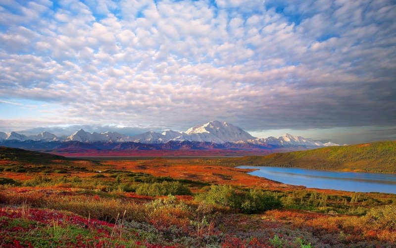 USA, Landscape, 1080P, National, Nature, Denali, Park