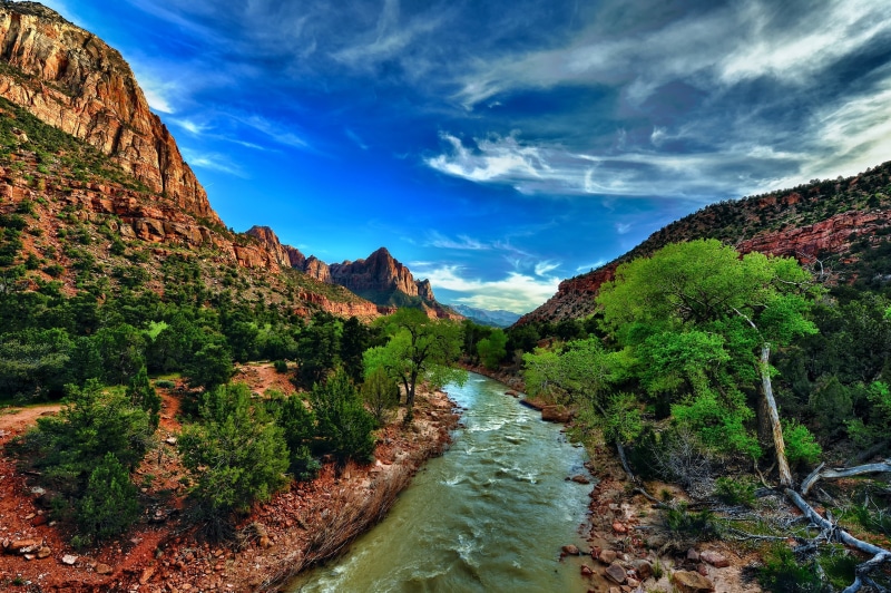zion, cliffs, river, bushes, park, USA, Utah, gorge, national, Zion National Park, 2K, stones