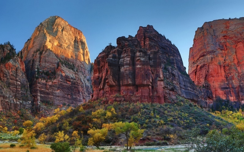Utah, Park, Rock, Zion, Nature, Trees, National, Mountains, USA, 1080P