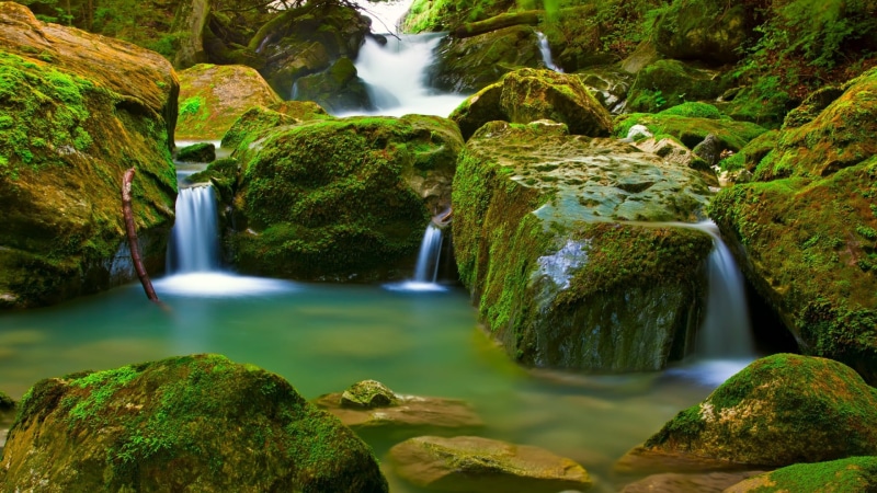 1080P, moss, fall, mountain, blurred motion, motion, flow, peaceful, natural, rainforest, water, rocks, forest, tree, splash, summer, wet, stream, long exposure