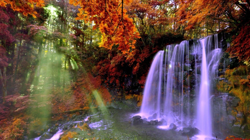 peaceful, tree, forest, ecology, outdoors, moss, motion, falling, splash, water, cascade, rock, park, stream, 4K, nature, river, rocks, waterfalls, outdoor