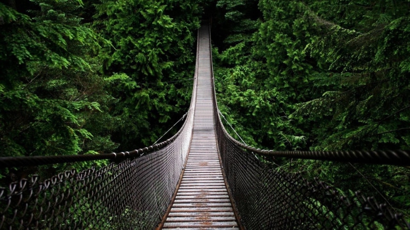 amazing, forest, canada, vancouver, bridge, lynn canyon, lynn valley, suspension bridge, 4K, british columbia