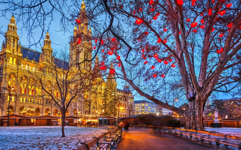 Vienna, Trees, Winter, Town, Lights, Austria, Evening, Buildings, Hall, 2K, Snow