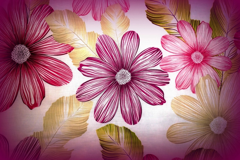 4K, petal, fabric, summer, floral pattern, pattern, flower, textile, pink, studio shot, decorative, texture, flowering plant, freshness, purple, plant