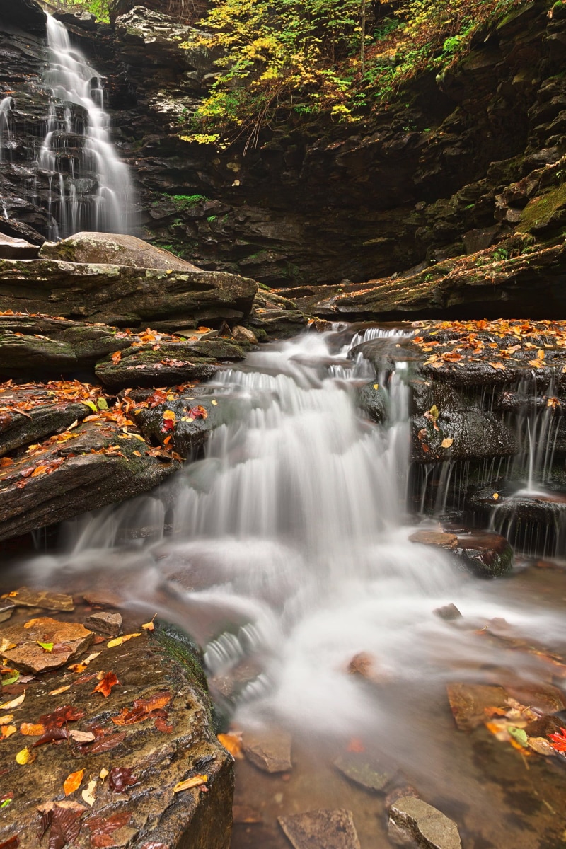 scenics, smooth, soft, leaves, ethereal, leaf, motion, fresh, scene, environment, in between, color, waterscape, cascading, tree, travel, united states