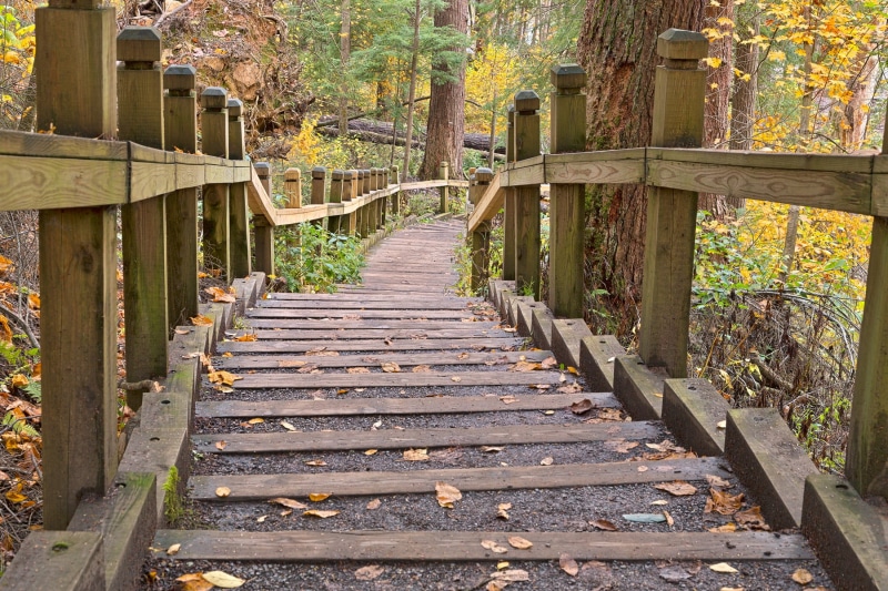 passage, background, outdoor, usa, ca, travel, wood - Material, colorful, scenic, curved, woods, beautiful, united  states, Swallow, Stairway, state  park