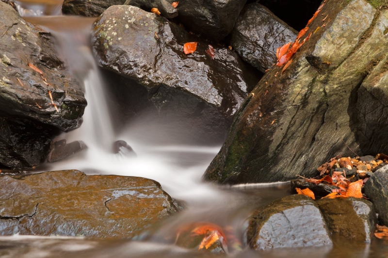 picture, travel, scenery, motion, waterscape, river, daylight, forest, nature, black  white, rock - Object, waterfall, background, move, soft, autumn, colours