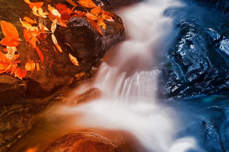 colorful, epic, surreal, water, united states, seasonal, beautiful, dreamy, orange, Stream, outdoors, patapsco valley state park, ca, season, beauty In Nature