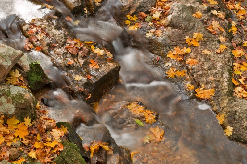 scene, outdoor, black  white, movement, rocky  stone, nature, colour, Stream, fall, image, american  beauty, color, colors, natural, tourism, 4K, leaves