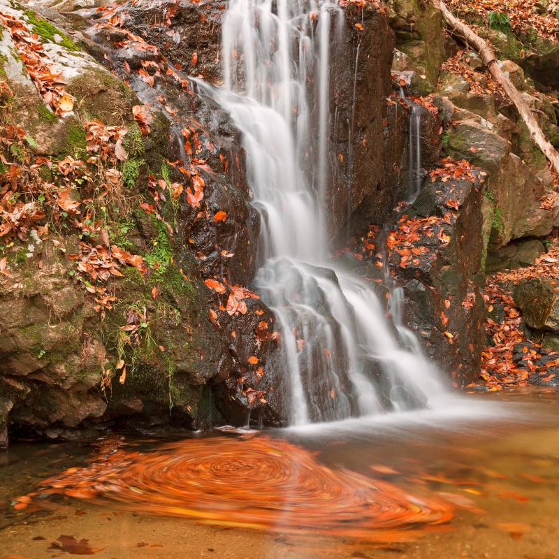 leaf, forest, flowing Water, long  exposure, water, body, fluid  flow, fall, body of water, black  white, background, tree, patapsco  valley  state  park