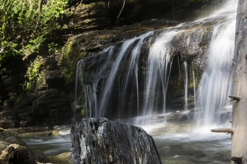 plants, no people, time, canada, natural, green, freshness, stone, reflect, environment, creek, Waterfall, tropical, forest, fresh, pass, tree, caribou