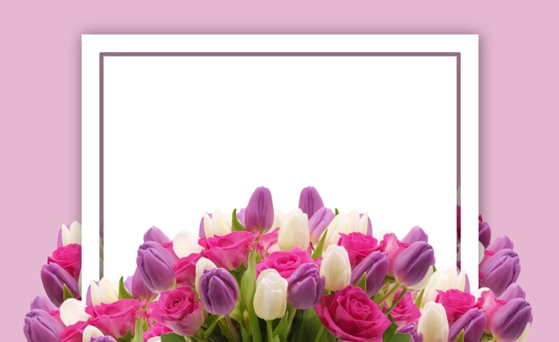 womens day, voucher, saint valentines day, indoors, petal, studio shot, multi colored, wedding, card, plant, blank, tulip, coupon, mothers day, pink, congratulations