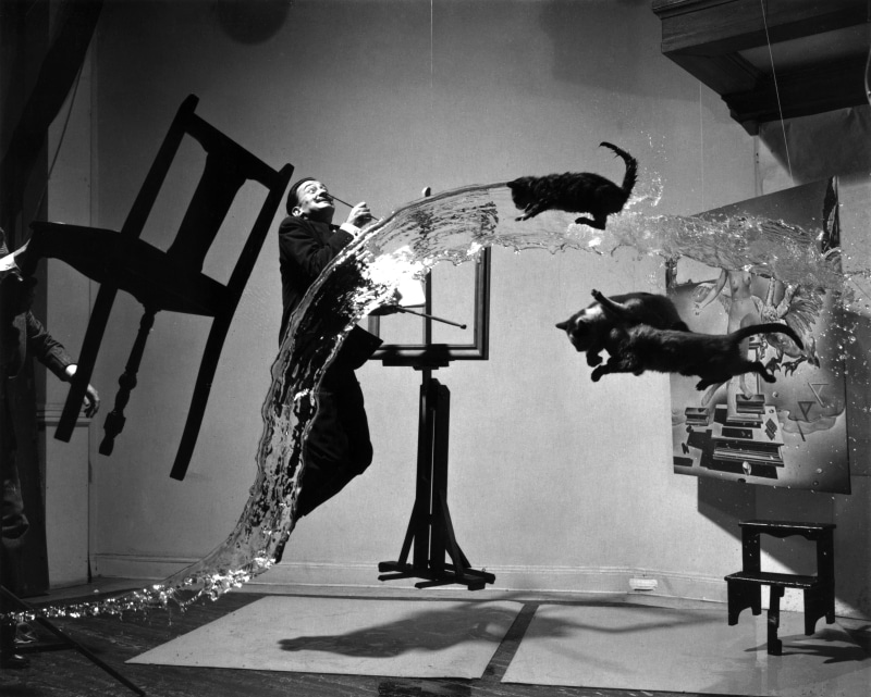 art and craft, salvador dalí, day, nature, built structure, vertebrate, surrealism, group of animals, greyscale, 2K, animals, animal wildlife, bird, person