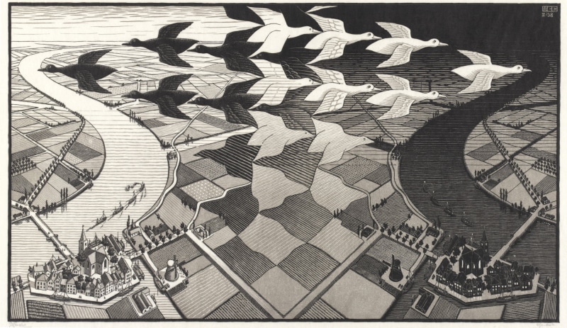 birds eye view, river, monochrome, artwork, drawing, birds, transformation, optical illusion, field, flying, 1080P, village, M. C. Escher