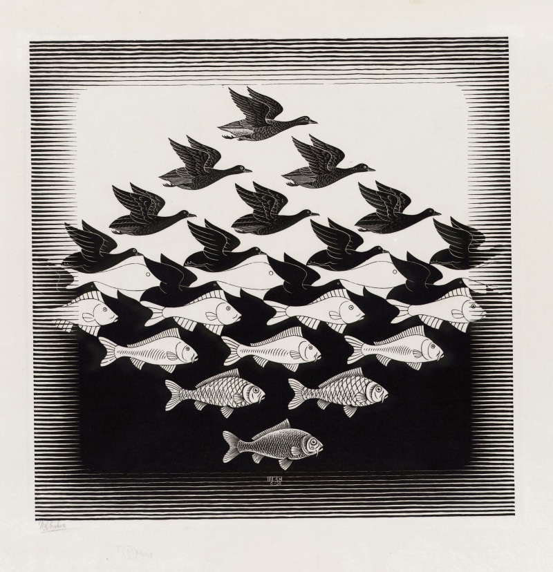 birds, animals, drawing, M. C. Escher, 1080P, signatures, optical illusion, illustration, fish, monochrome, artwork