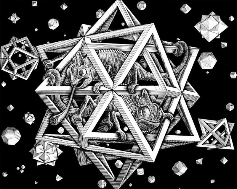3D, geometry, optical illusion, chameleons, drawing, artwork, animals, 3d object, simple background, M. C. Escher, monochrome, 720P, digital art