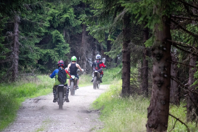outdoors, 5K, land, transportation, cross, real people, day, people, rear view, tree, adult, plant, forest, men, group of people, road, motobike, motorbike