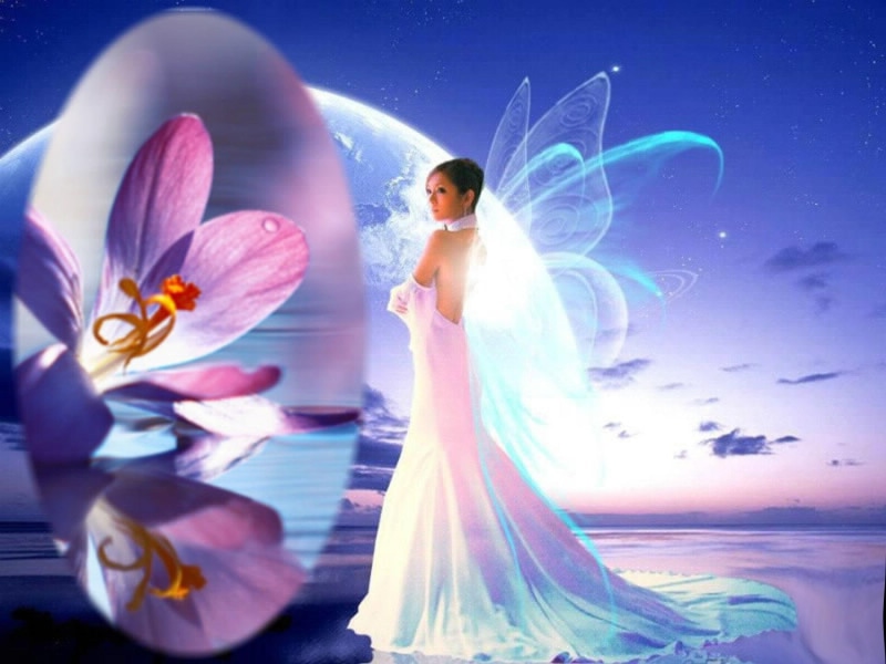 reflection, blue, 1080P, nature, fairy, flower, wings, fantasy, beauty