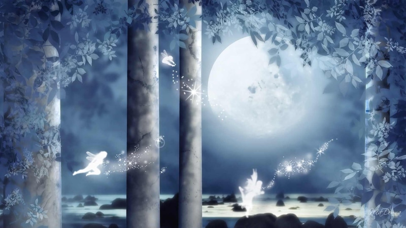 magical, moon, 3d and abstract, fairies, fairy, pretty, blue, trees, white, 1080P, fantasy, forrest